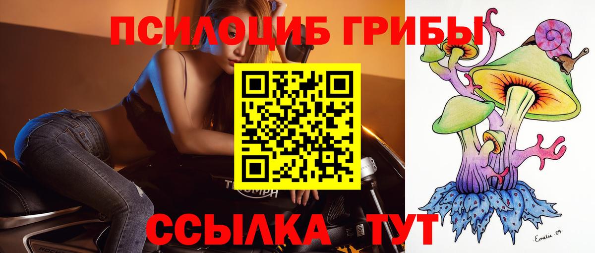 Псилоцибиновые грибы мухоморы Кострома