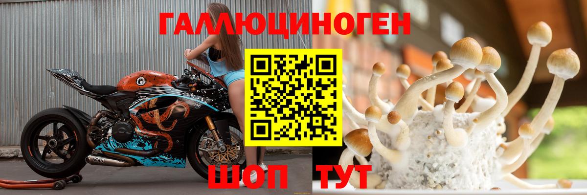 где можно купить наркотик  Псилоцибиновые грибы Psilocybine cubensis  Вход с VPN  Кострома 